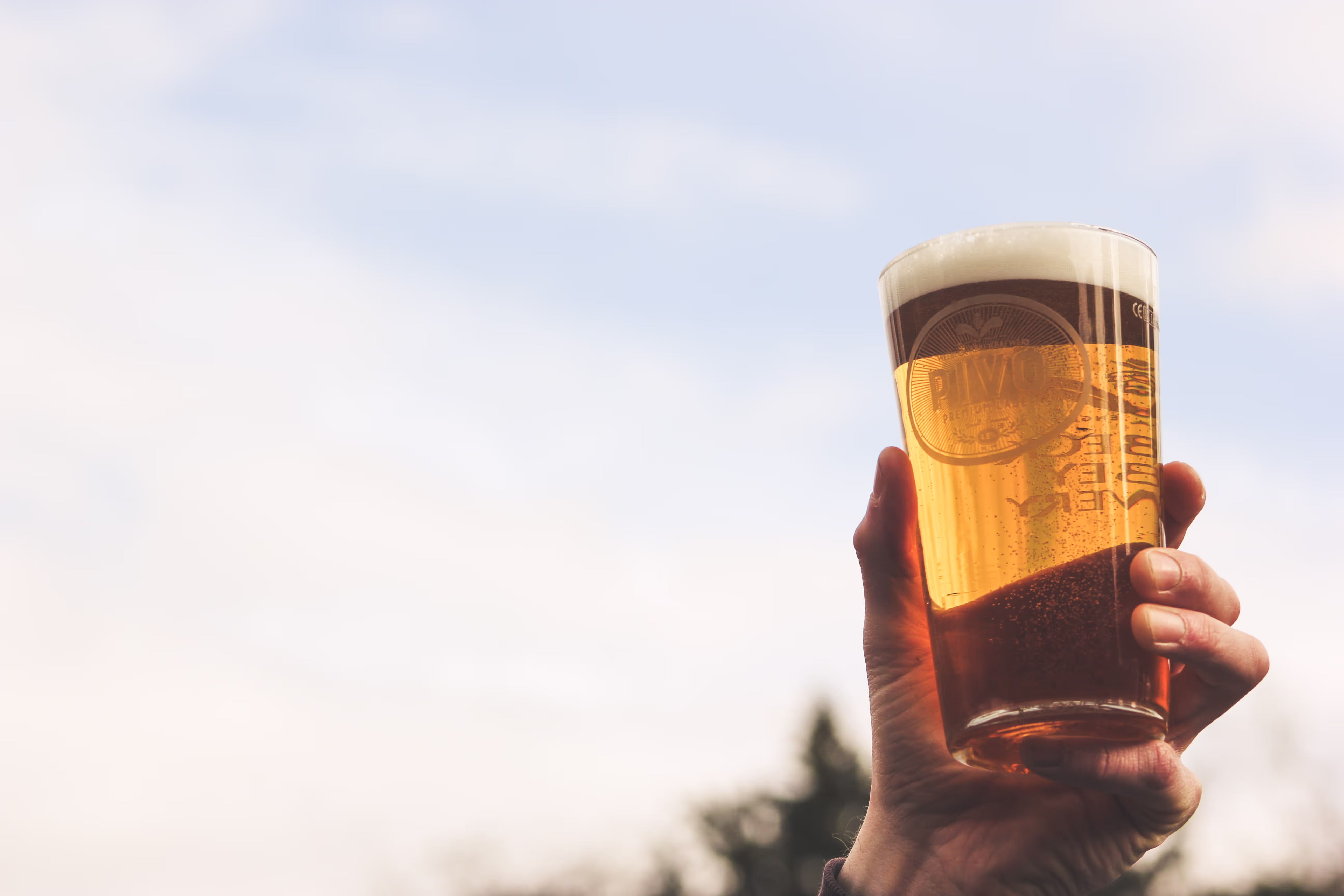 Functioning Alcoholism Symptoms