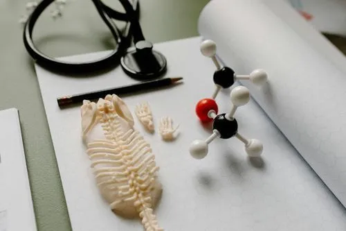 How Does Ativan Work?