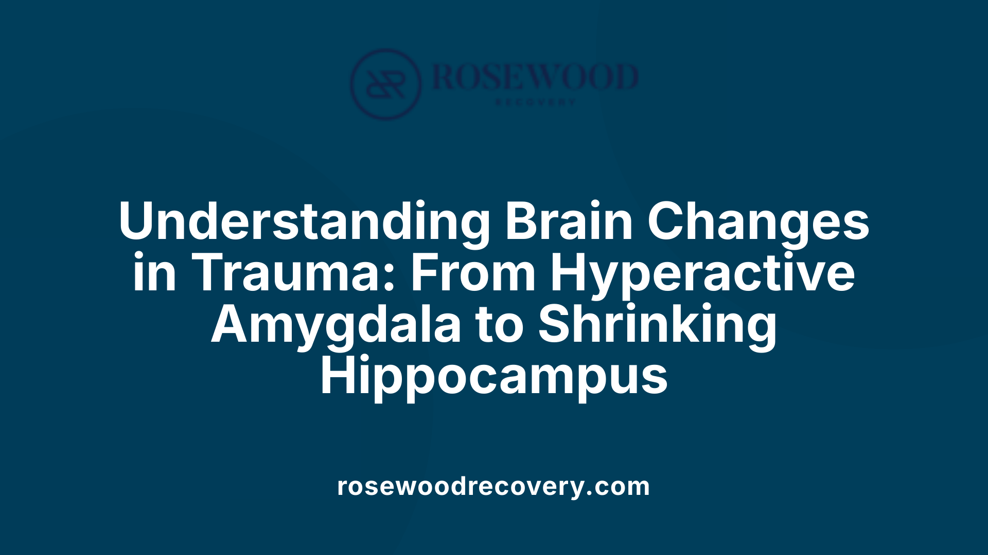 Understanding Brain Changes in Trauma: From Hyperactive Amygdala to Shrinking Hippocampus