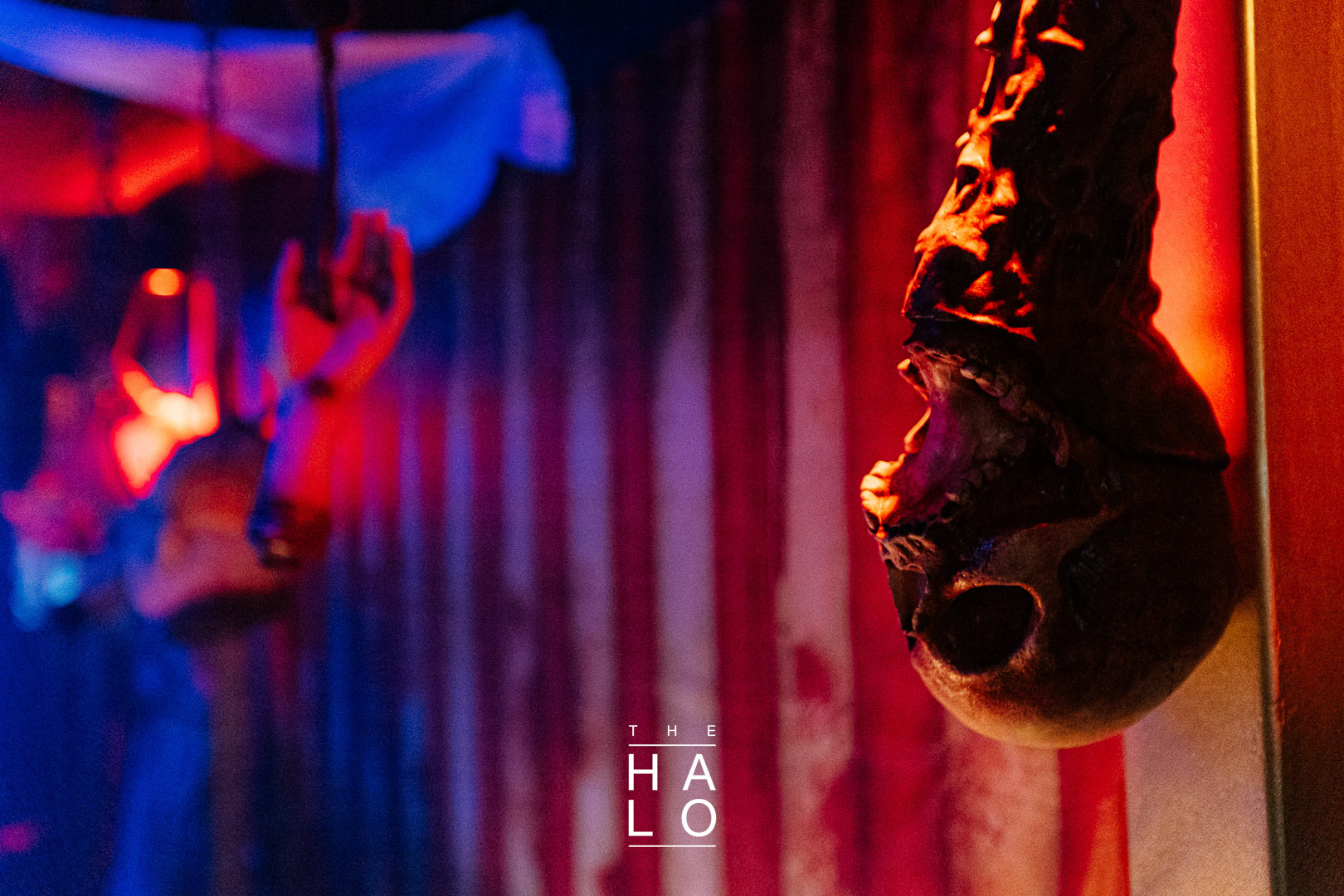 Mgk 6682 Haloween 2024