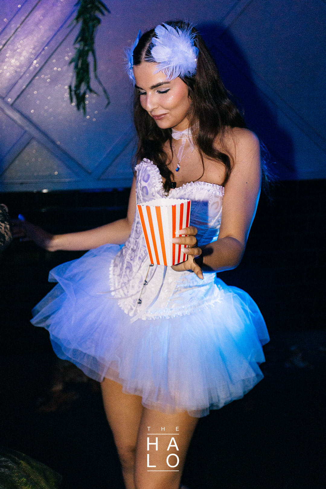 Mgk 6727 Haloween 2024