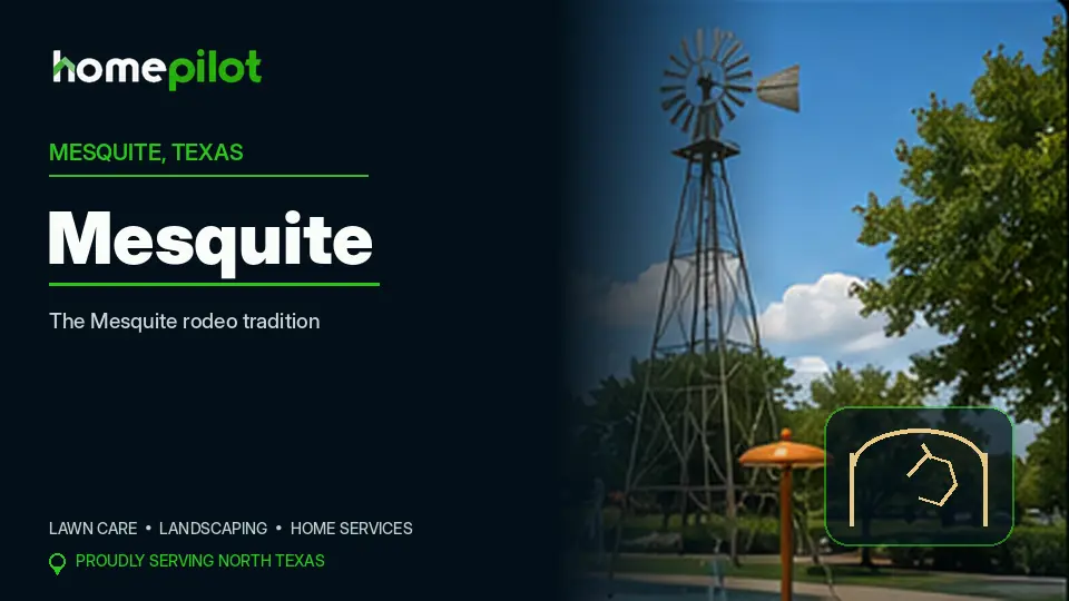 Lawn Care & Lawn Mowing in Mesquite, TX