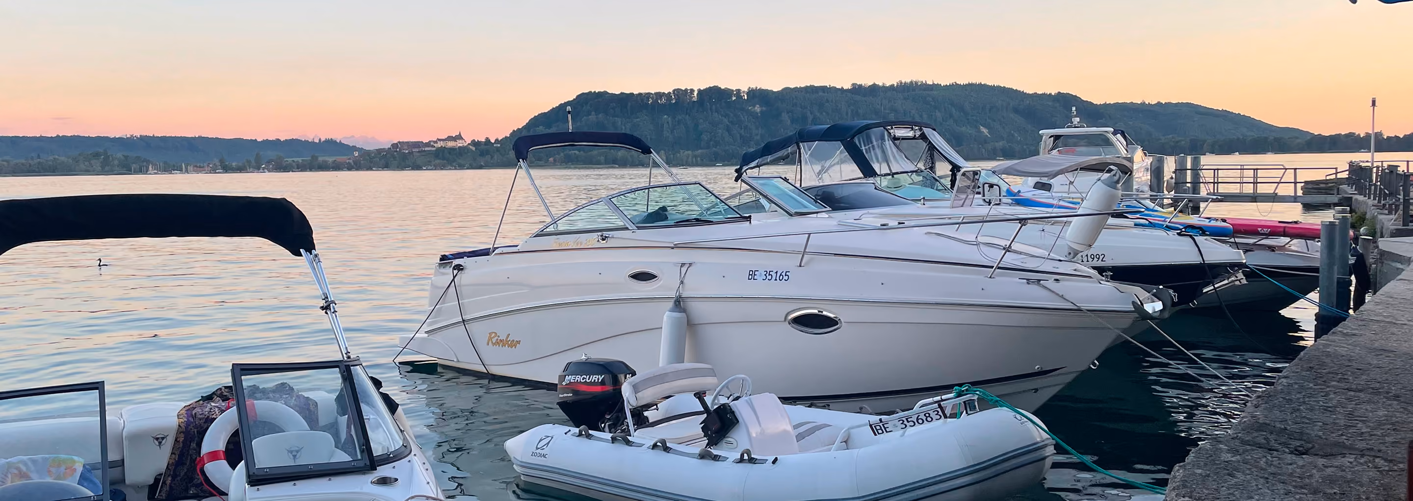 Schweizerischer Motorbootverband FSM Motorboot Fédération Suisse Motonautique am See