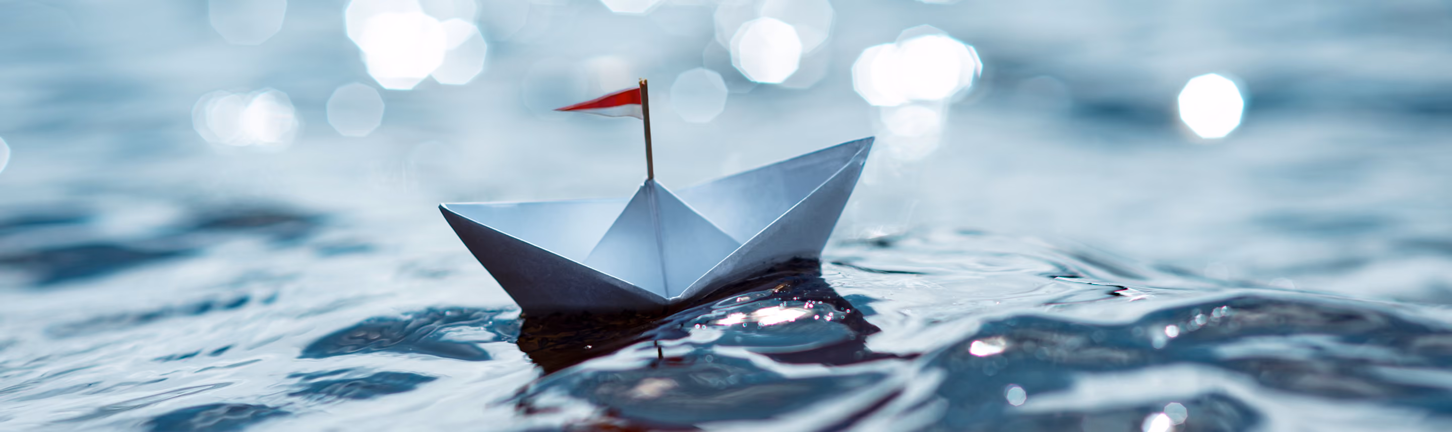 Papierboot auf Wasser symbolisiert Fédération Suisse Motonautique FSM Schweizerischer Motorbootverband Motorboot