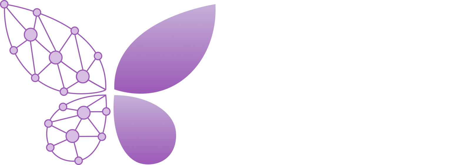 ITsta logo with purple butterfly wings composed of solid and connected network nodes, and the slogan 'Your Tech, Our Passion' in white text.