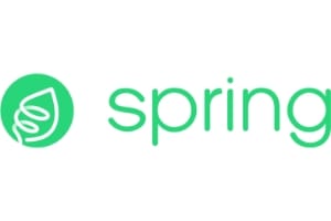 Spring AI Studio - Developing a Viral Strategy Through Content and Video Scripts
