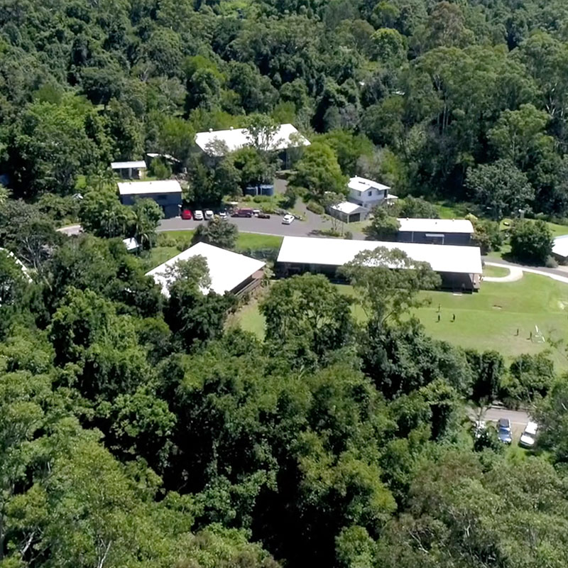 The River School