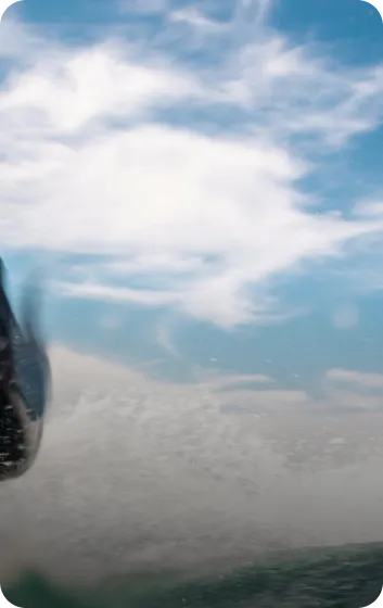 Understand your results