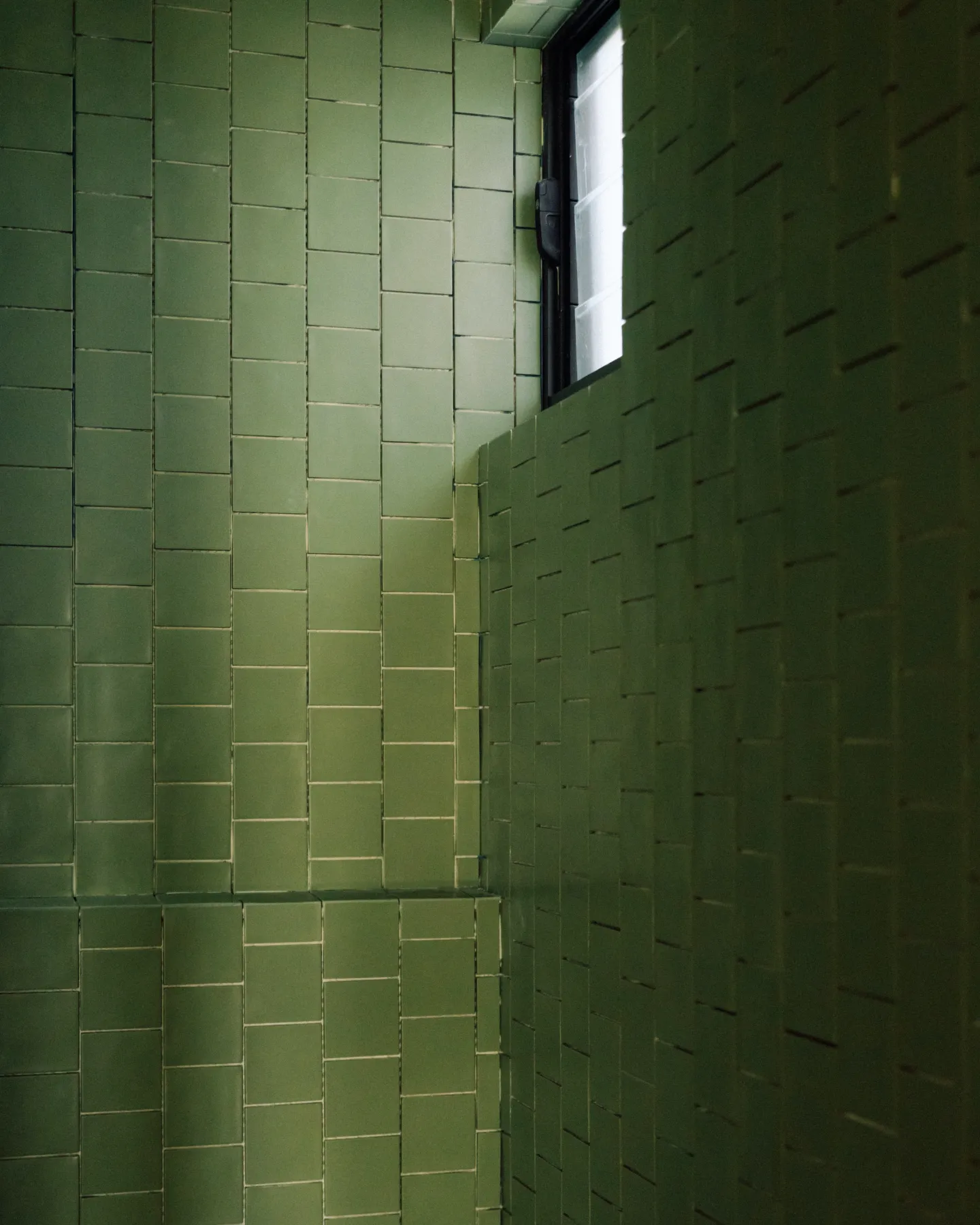 Contemporary green tiled feature wall demonstrating high-end residential tile installation.
