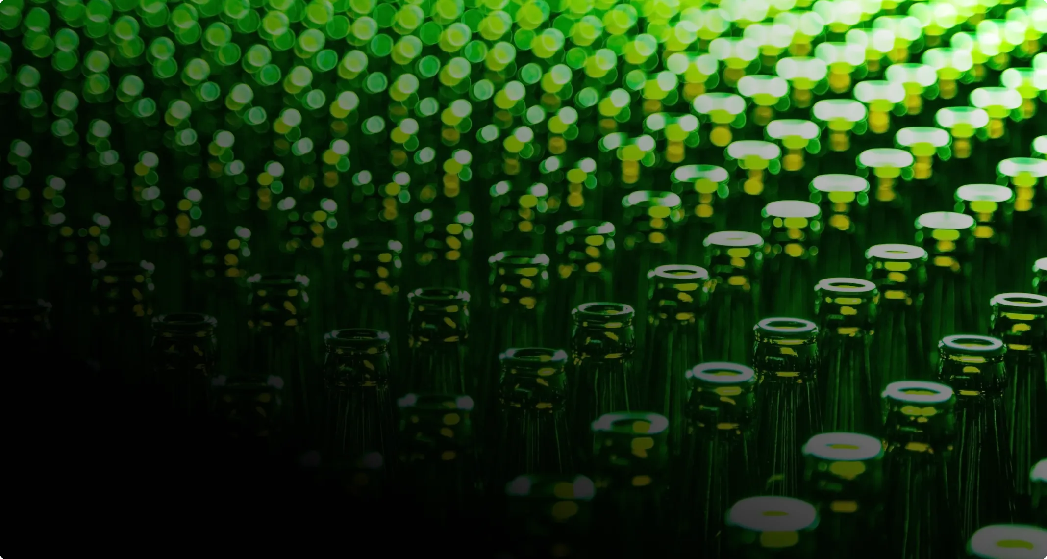 Rows of green glass bottles viewed from the top in dim light with bright reflections.