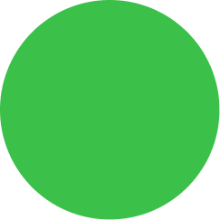 Solid green circle on a white background.