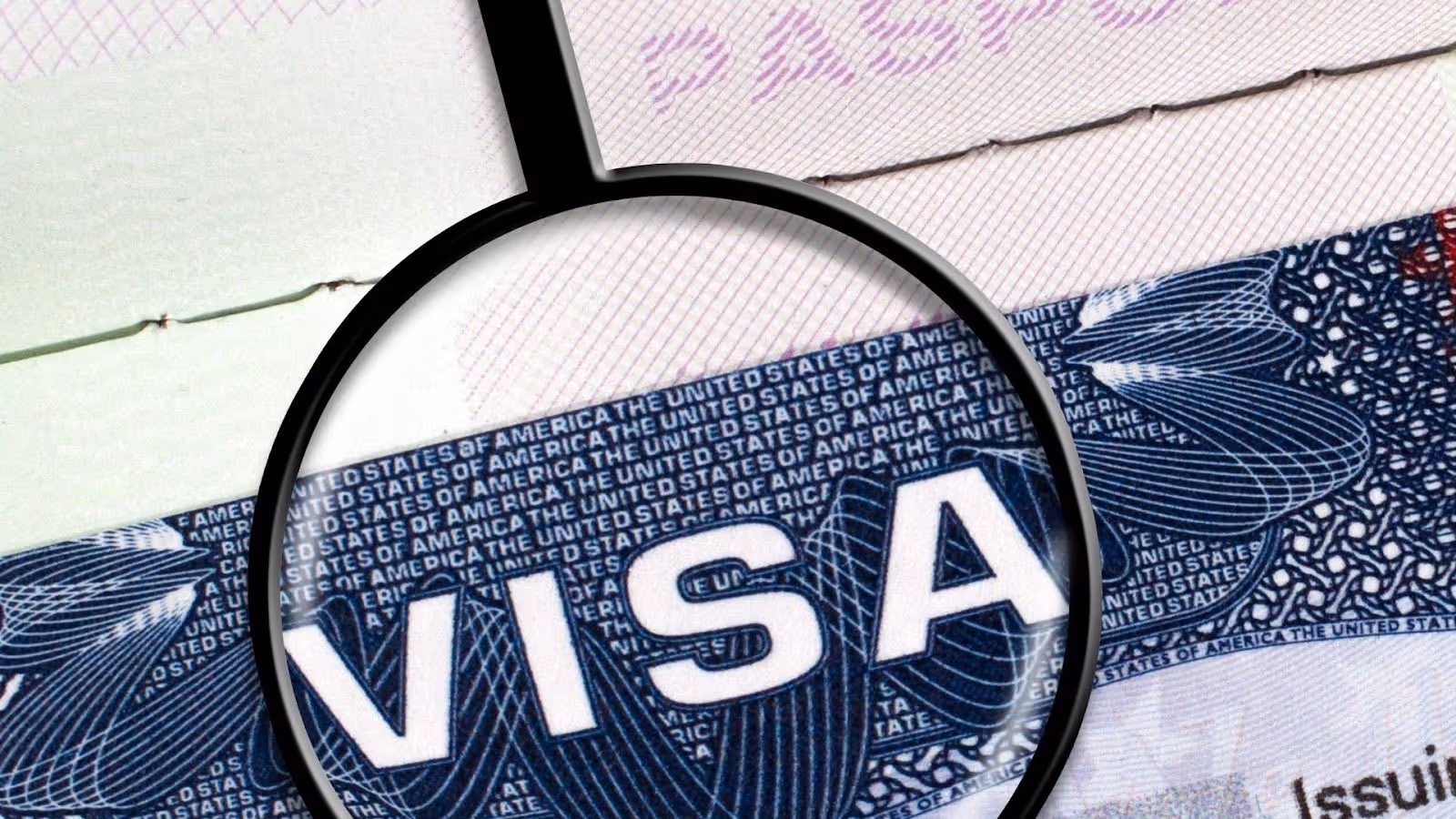 Updates to Visa Regulation