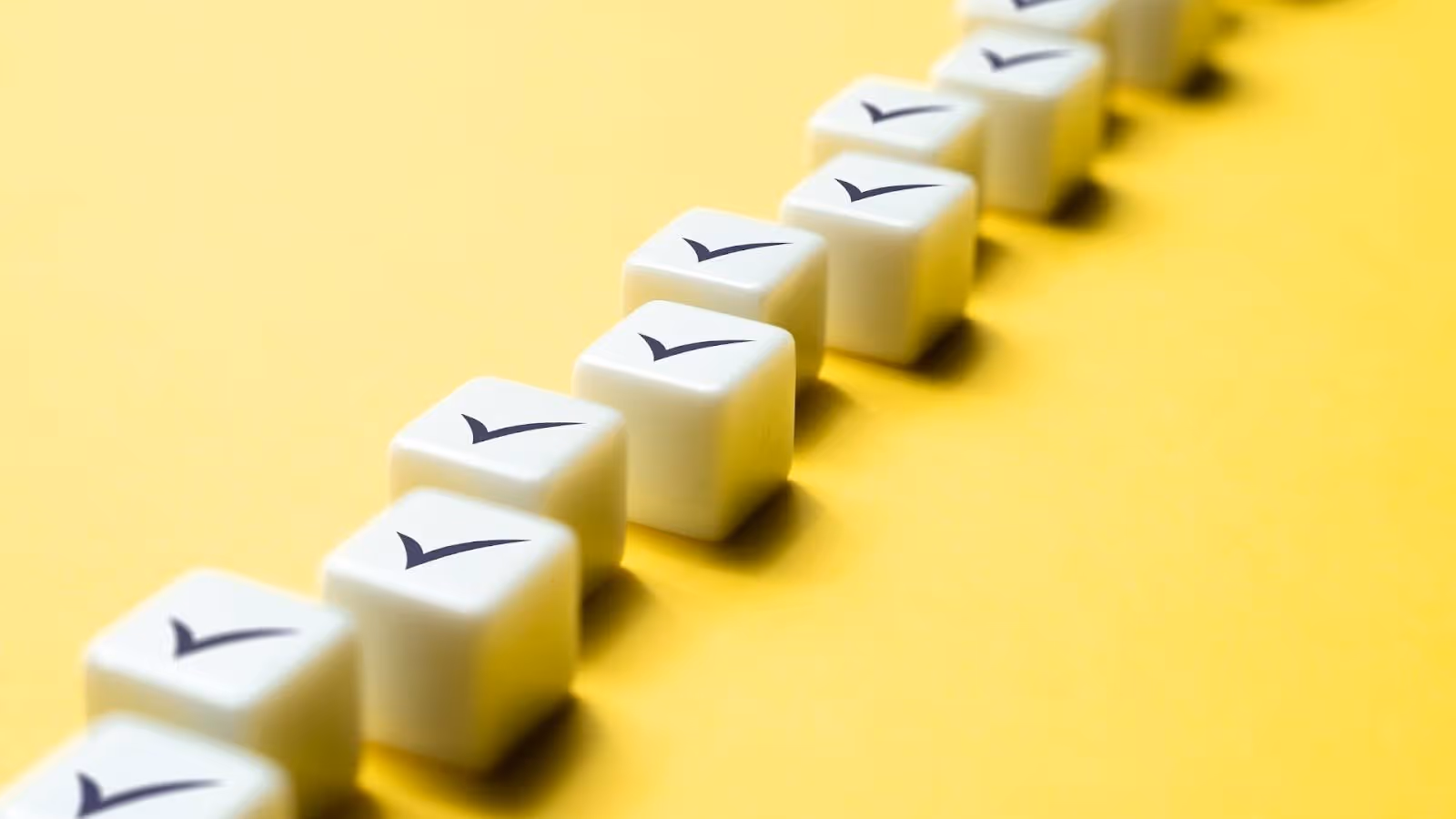 mportant Sponsorship Visa Categories