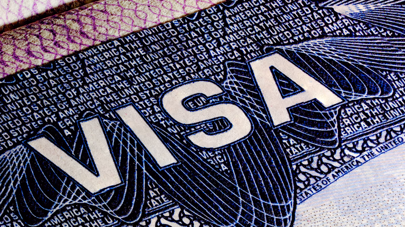 Alternative Visa Options for Affected Applicants