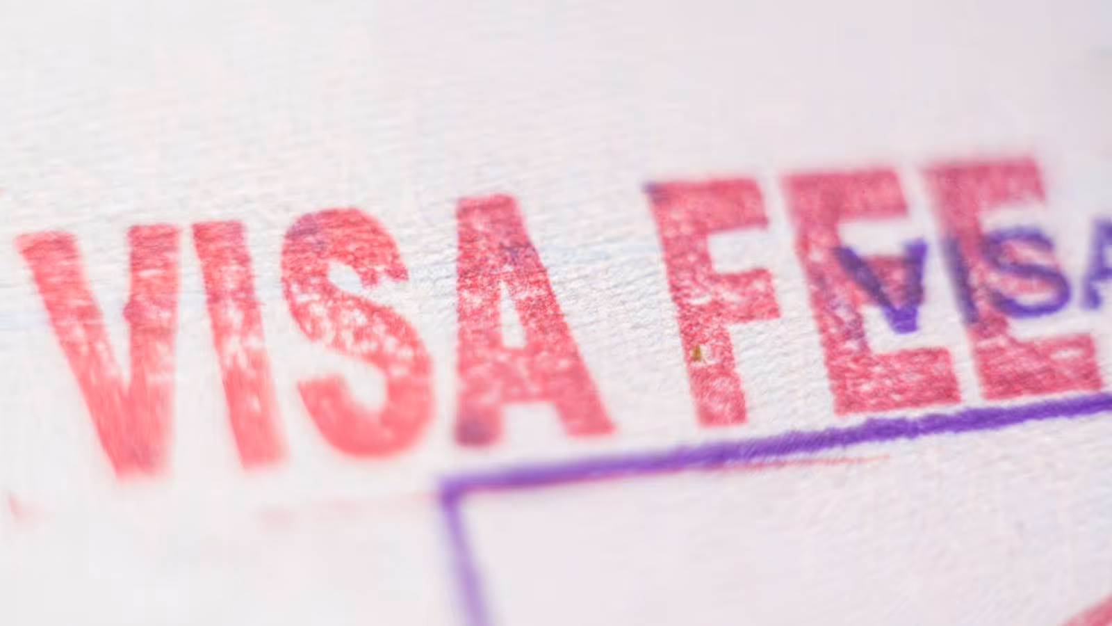 Base Application Fees for Different Visas