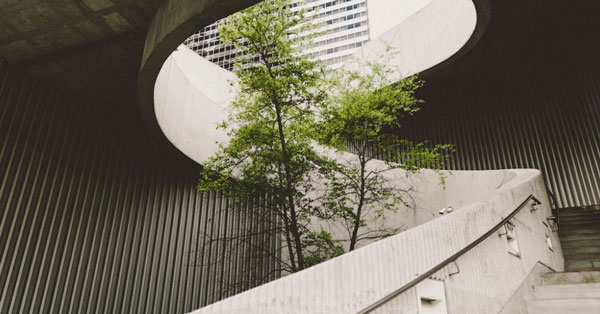 Sustainable Construction Tree in Building