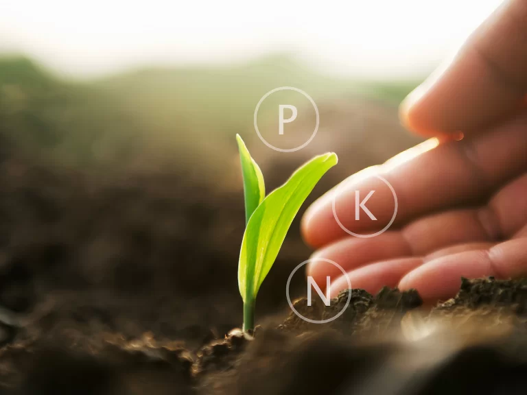 Conceal precision planting system