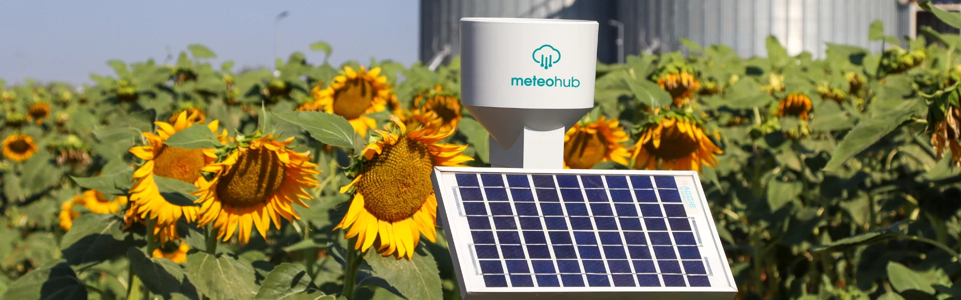 MeteoHub Lite weather station