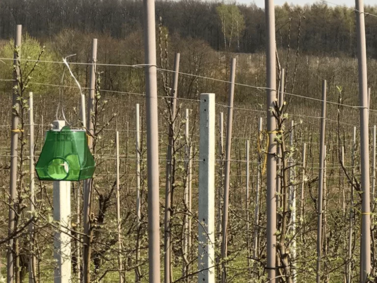 METOS iSCOUT pest monitoring