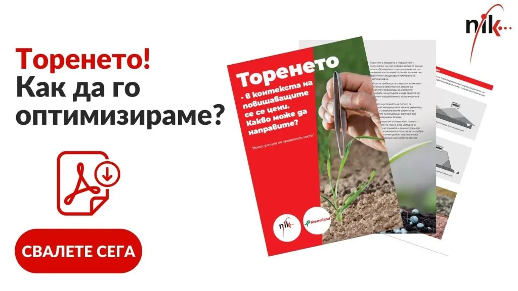 Торенето - как да го оптимизираме