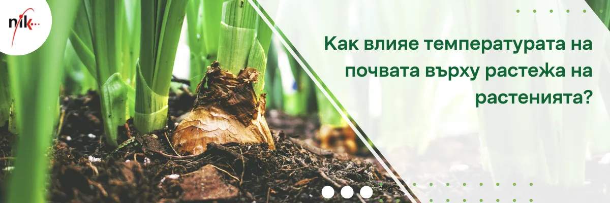 Сензор за почвена температура в посевно поле с данни за влиянието върху фазите на растеж