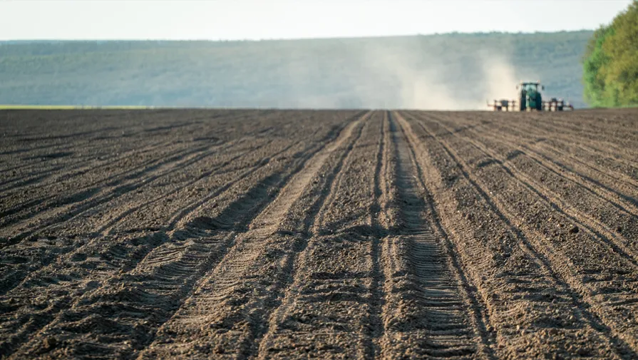 Precision Planting - решение за прецизни земеделци!