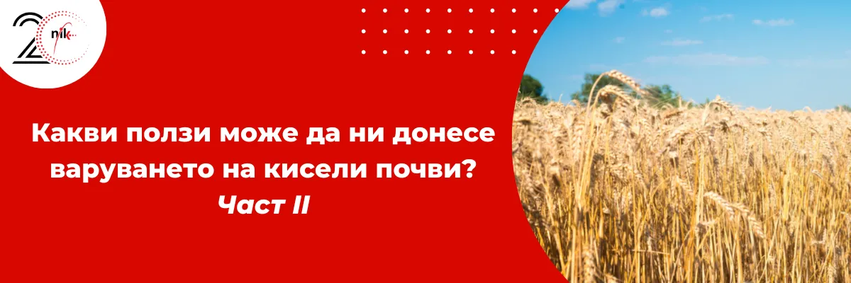 Земеделско поле с подобрено развитие на културите след варуване на кисели почви, ч. 2