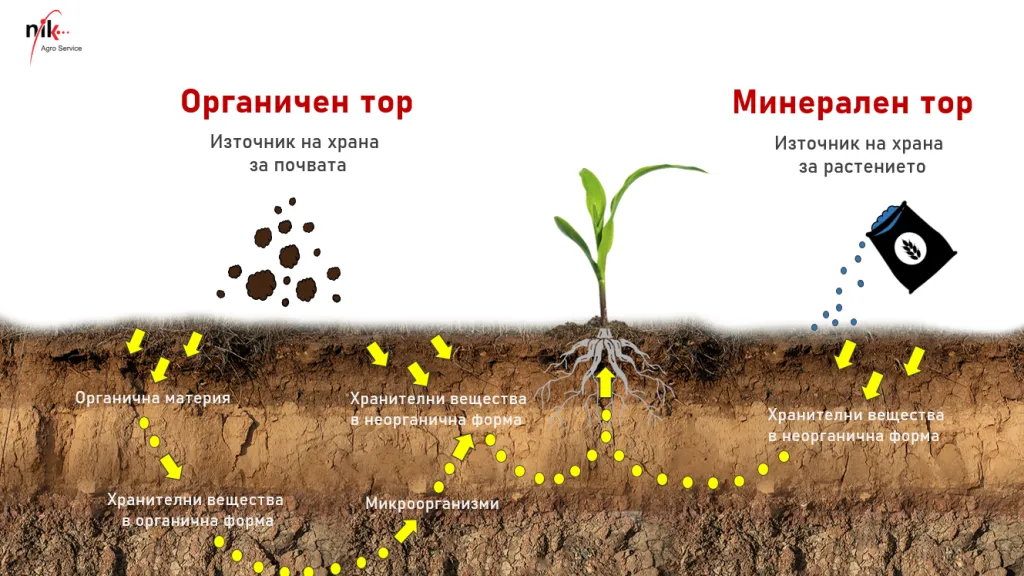 mineral_and_organic