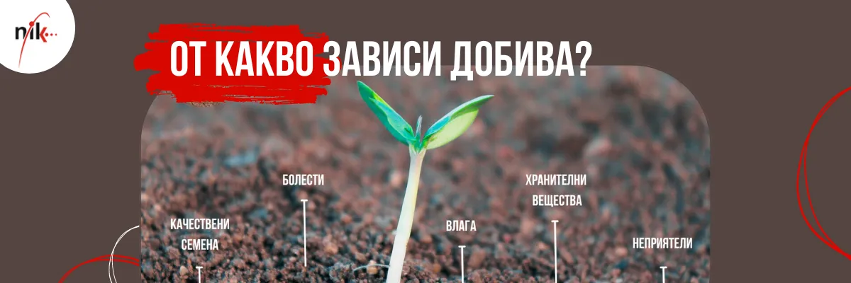 Агроном, анализиращ данни за добива от прибрано поле за определяне на ключови фактори