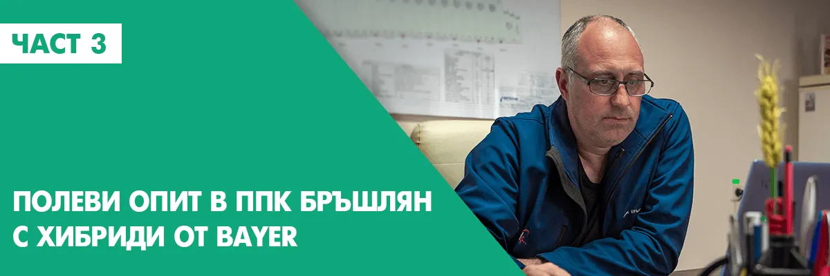 Резултати от полеви опити с хибриди на Bayer в ИПК Ива, част 3