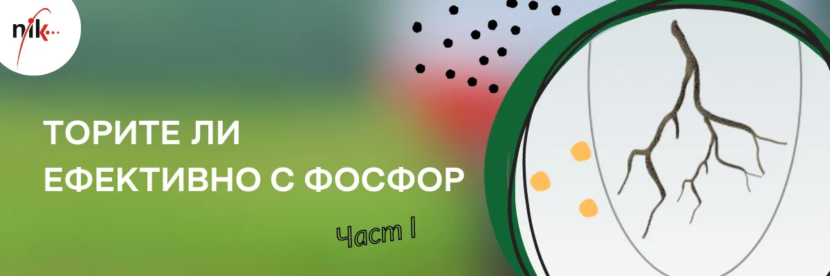 Агроном, анализиращ резултатите от фосфорно торене в земеделско поле