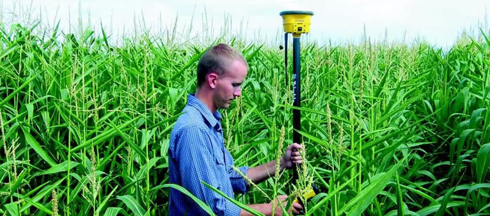 WM-Topo field mapping hero