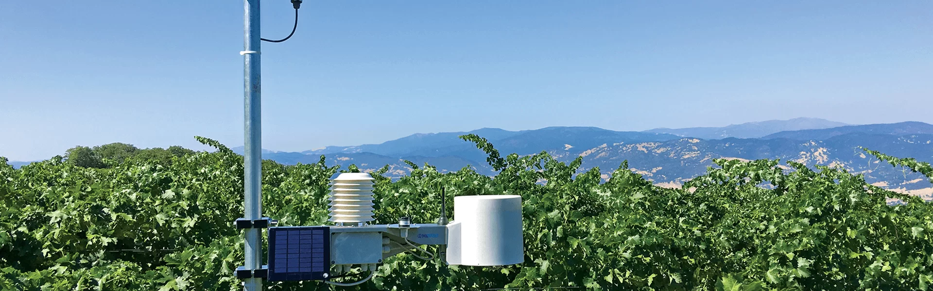 iMetos weather station