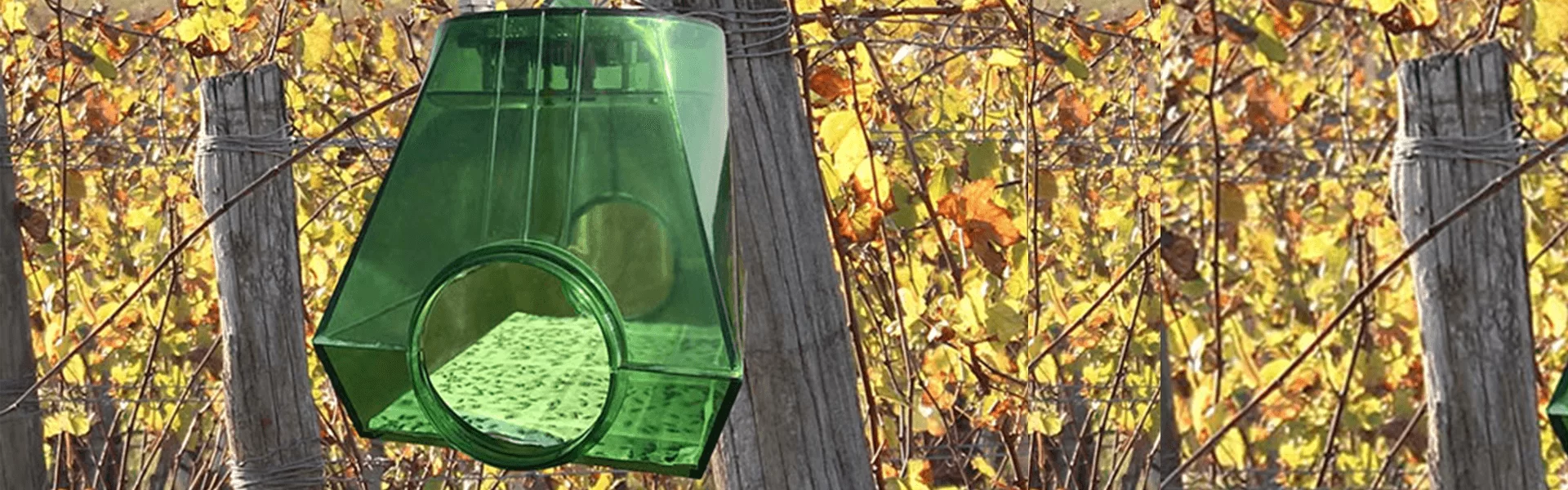 METOS iSCOUT pest monitoring