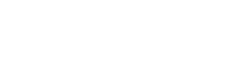 Le logo de iNES