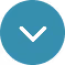 tick