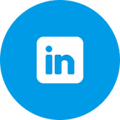 LinkedIn social media icon