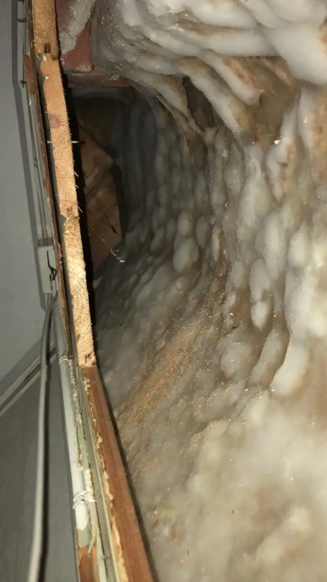 Ekte hussopp - Bergen Boligkontroll