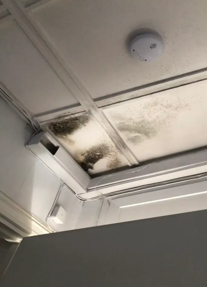 Muggsopp i bolig - Bergen Boligkontroll