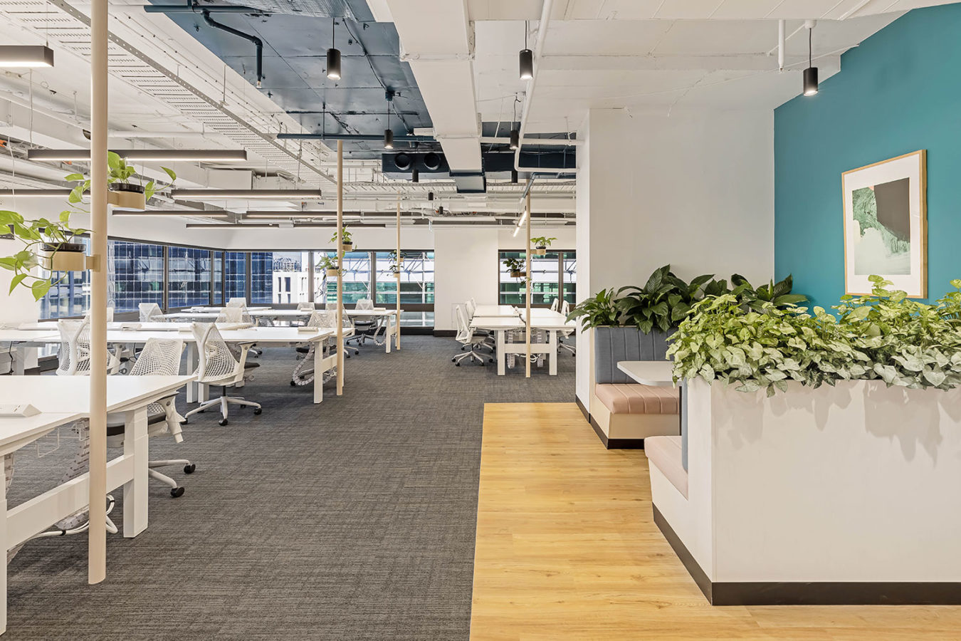 Expedia Project Shot
