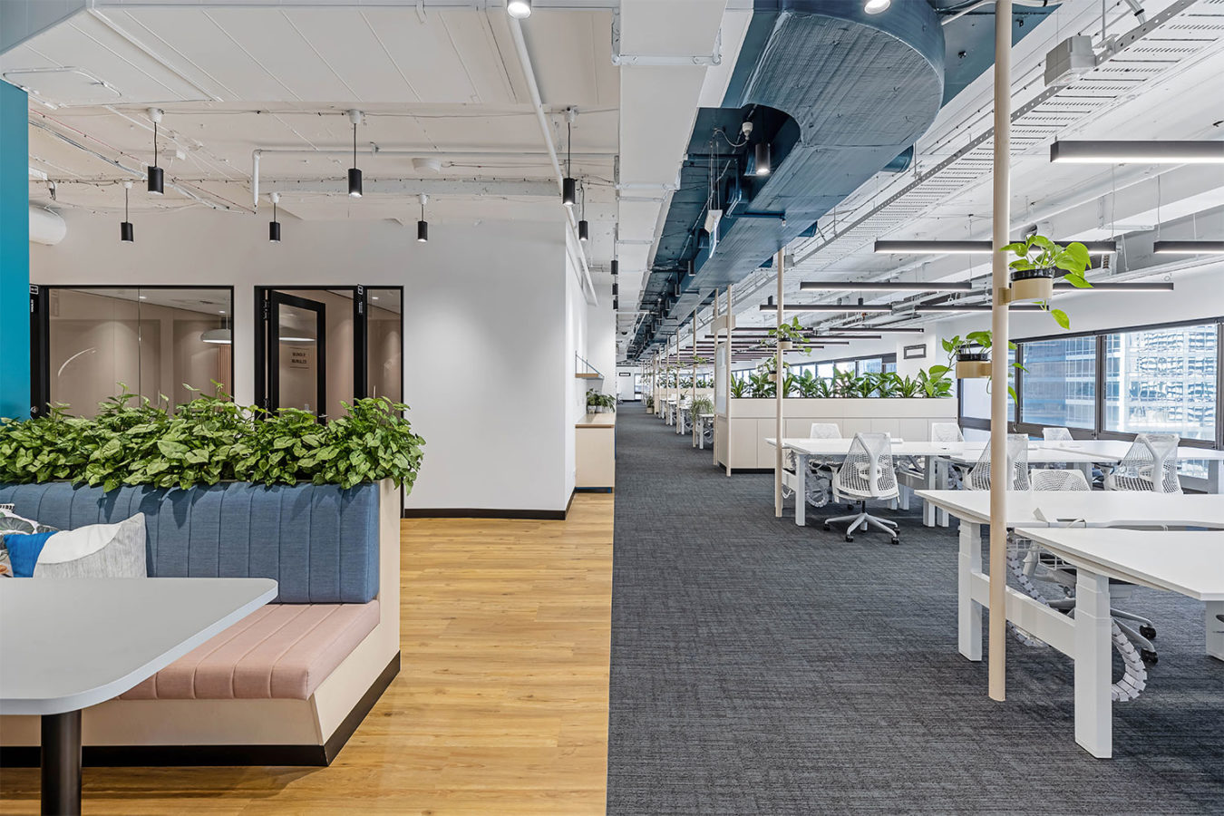 Expedia Project Shot