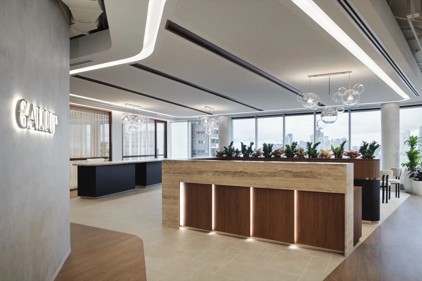 Gallup Project Shot