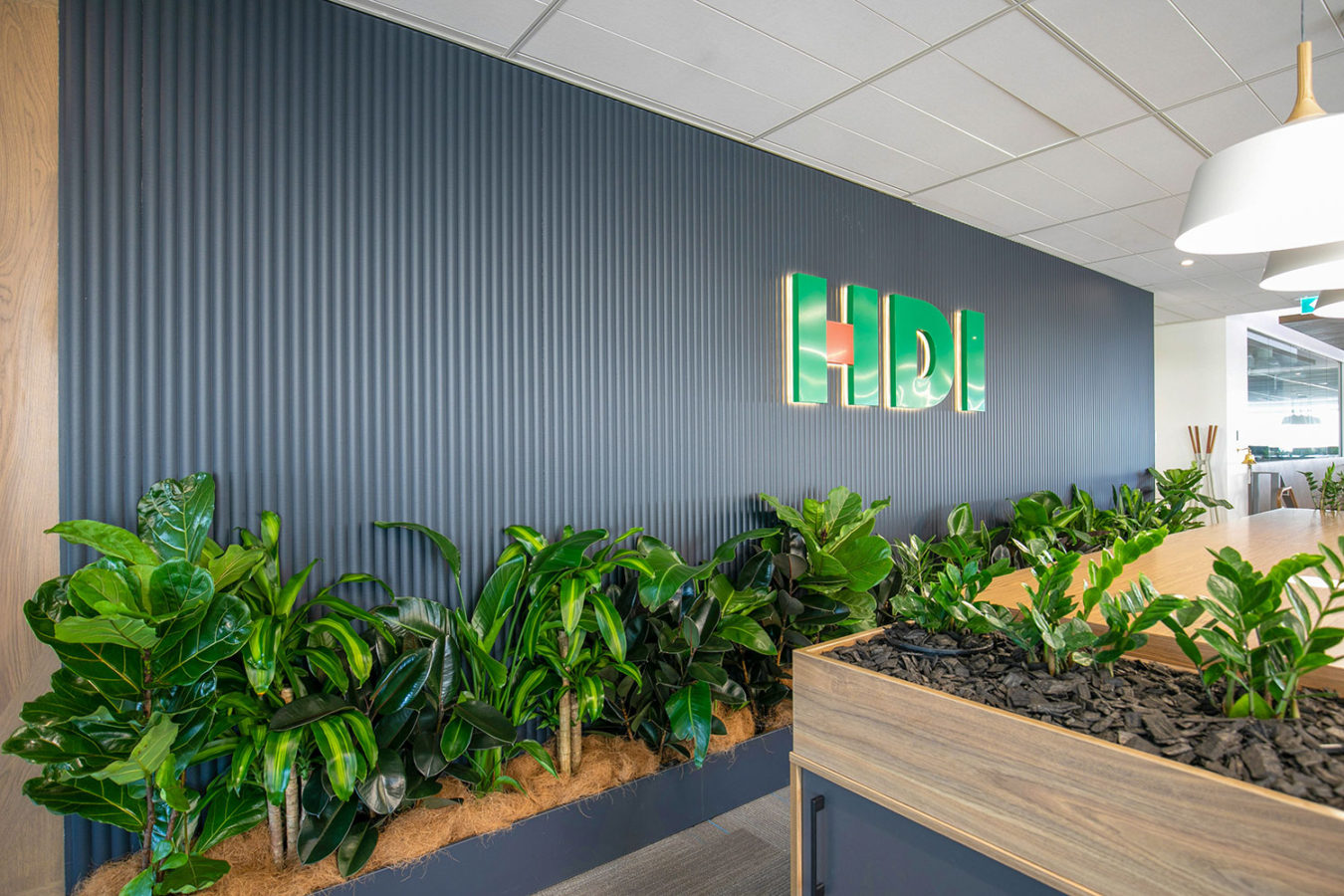 HDI Global Project Shot