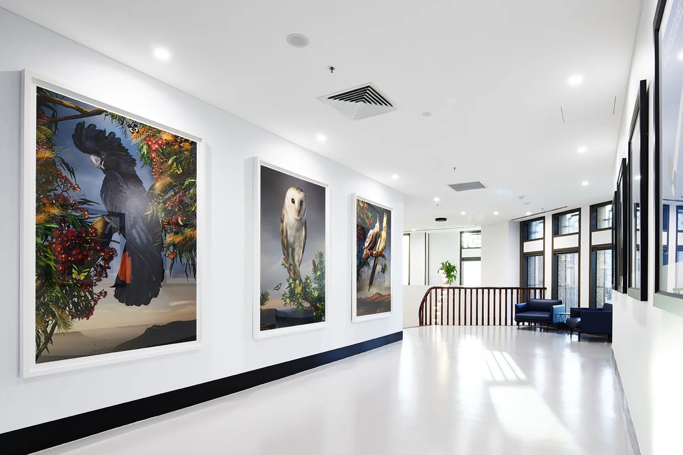 Kelly Partners Melbourne Project Shot