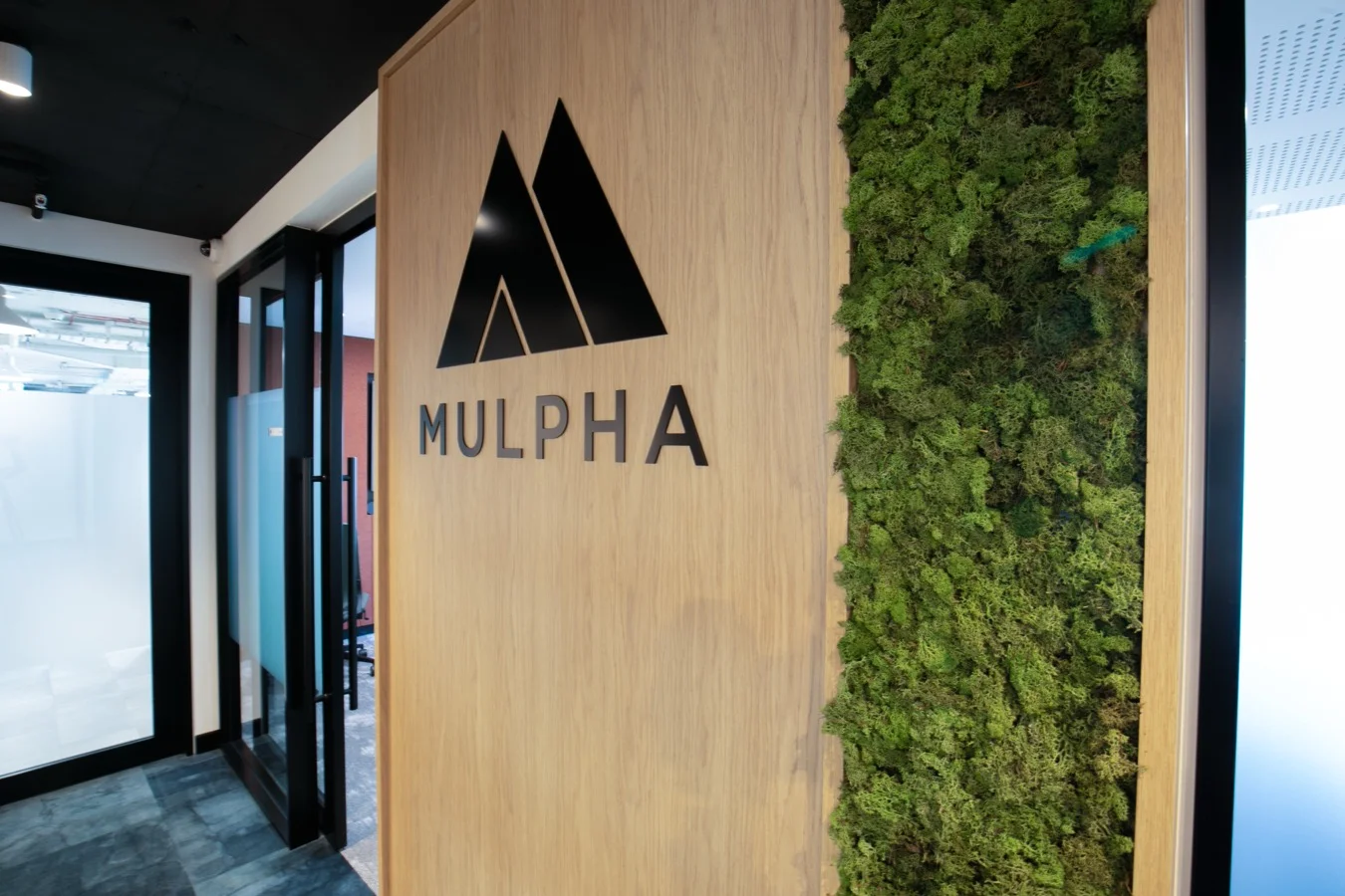 Mulpha Project Shot