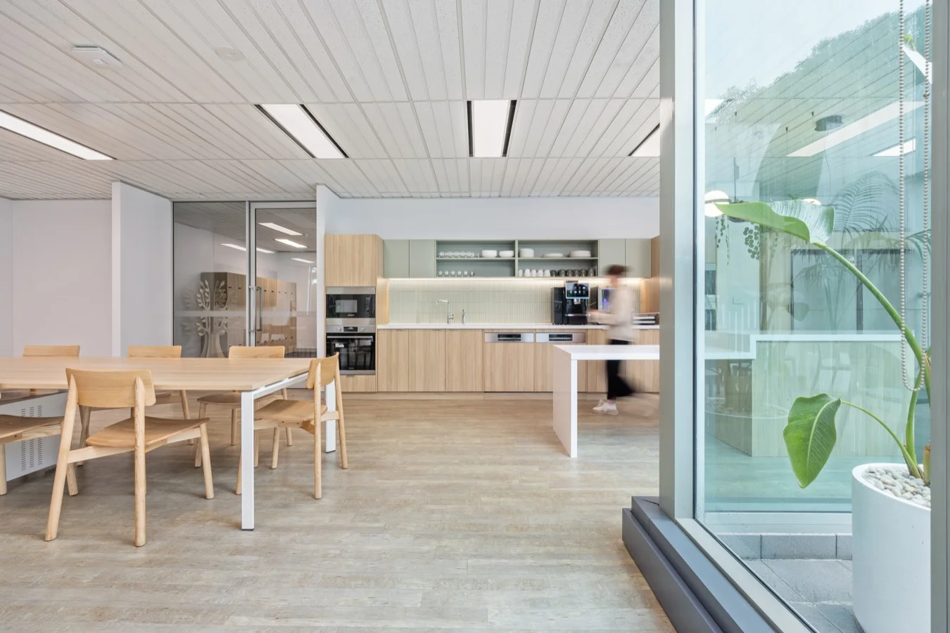 Sunnyfield Project Shot