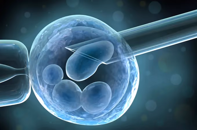 pgt testing embryos