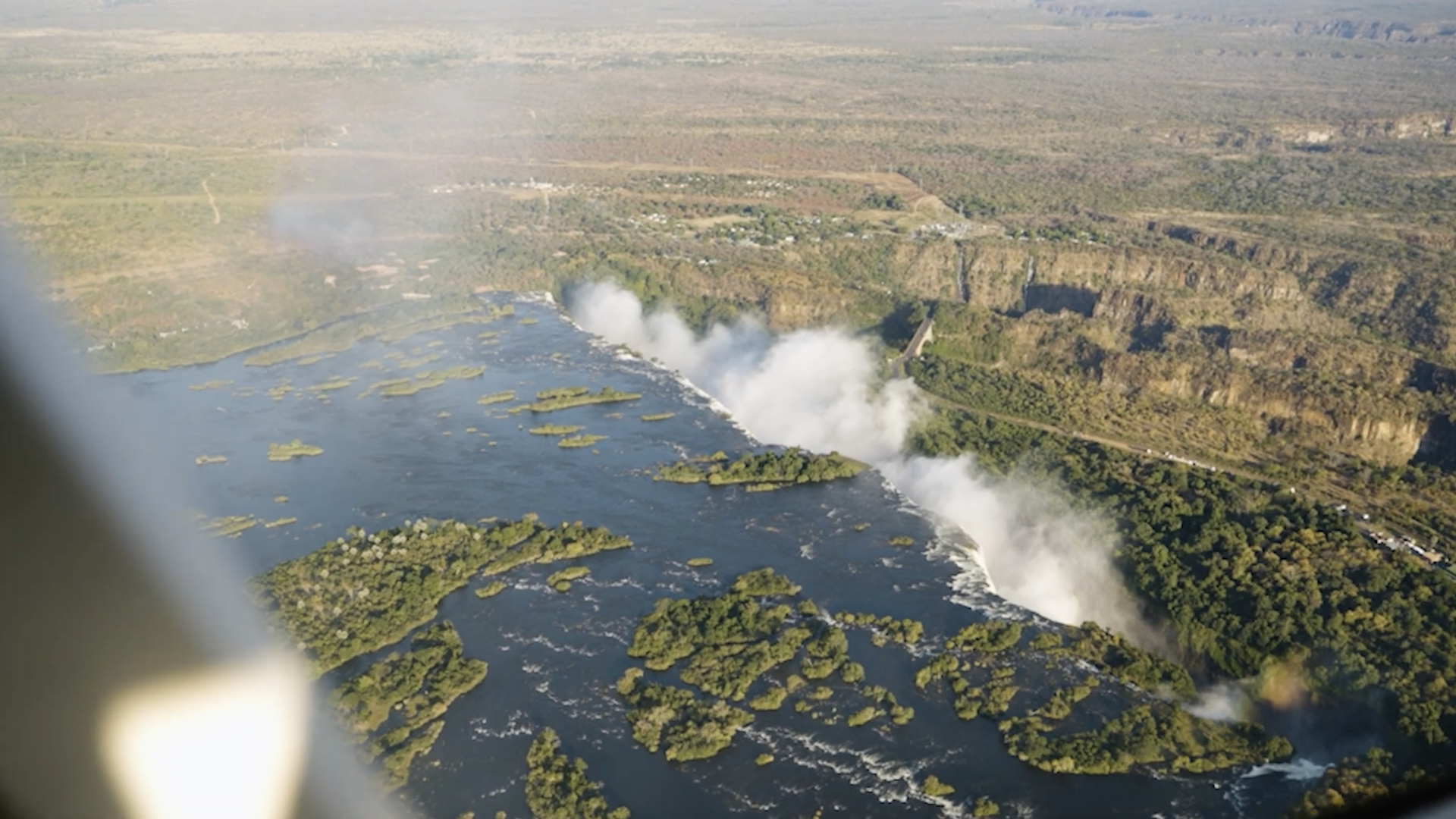 ROARR - The Journey: How We Got Here