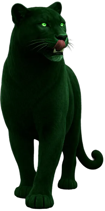 Puma - brand hero X-TALK.