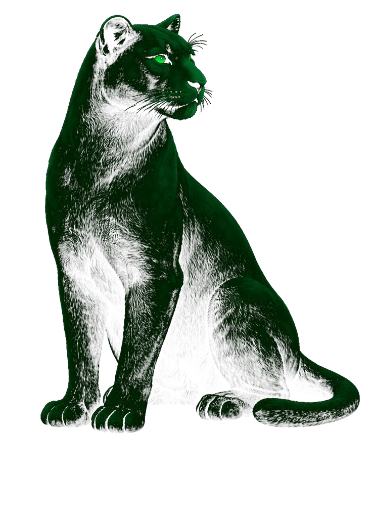 Puma - brand hero X-TALK